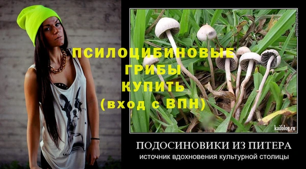 круглые Вяземский