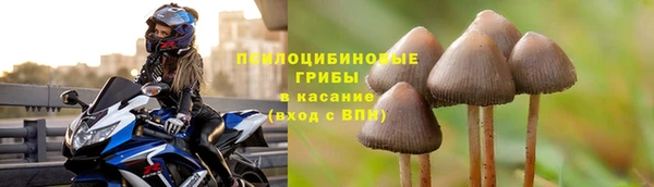 спиды Вязники