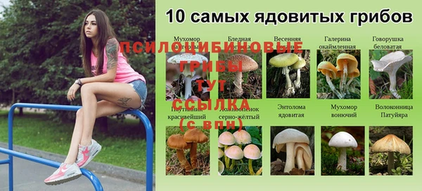 спиды Вязники