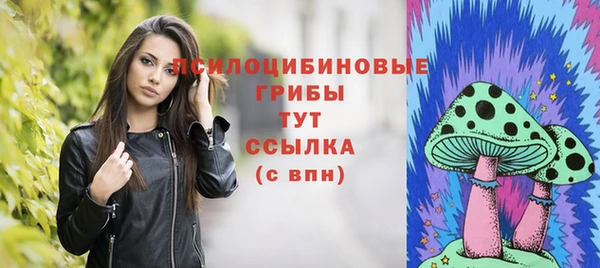 спиды Вязники