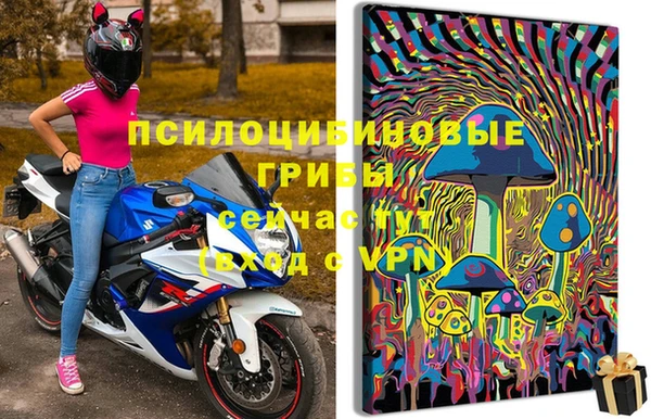 спиды Вязники