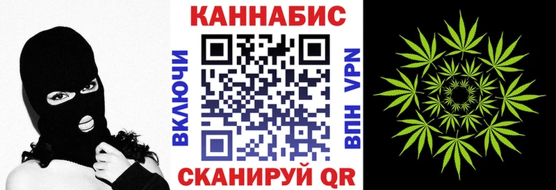 Купить закладки  Кировск  Бошки Шишки Amnesia 
